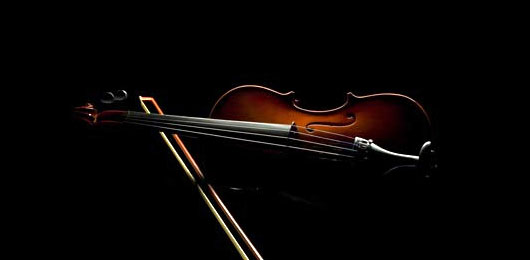 A close up of a violin