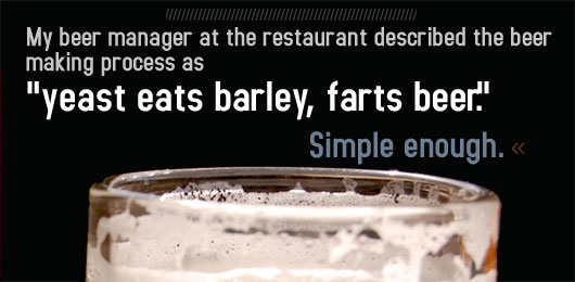 Article text - yeast eats barley, farts beer