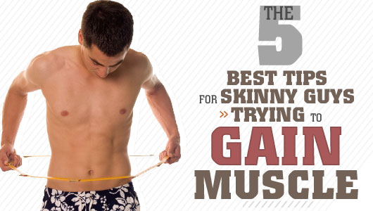 For skinny tips muscle building guys Top Ten