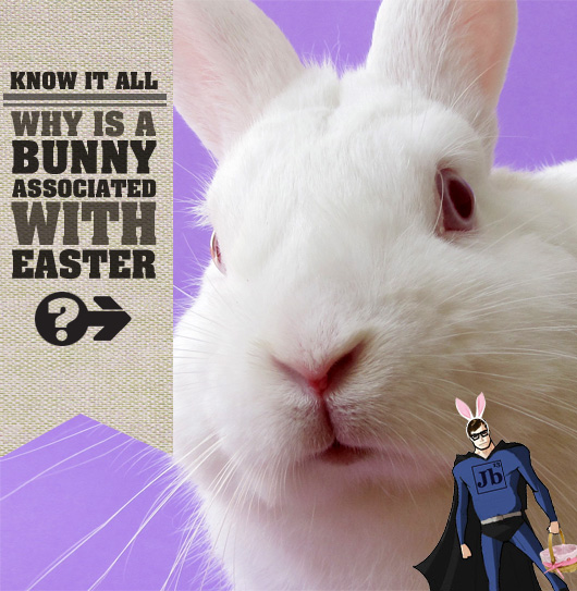Know It All: Why is a Bunny Associated with Easter?