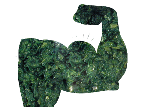 A bicep with spinach