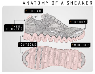 TextAnatomy of a sneaker