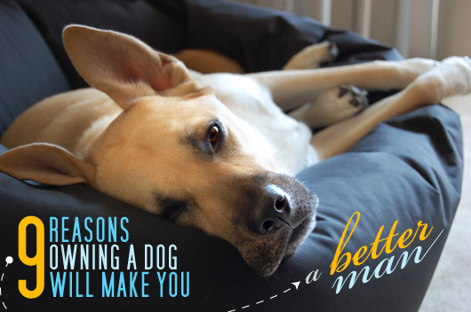 9 Reasons Owning a Dog Will Make You A Better Man
