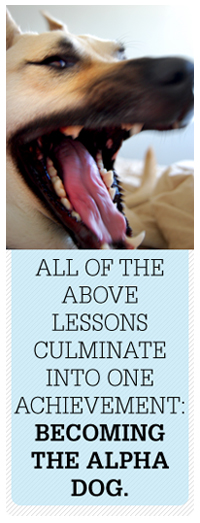 Article text - All of the above lessons culminate