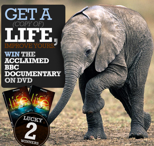 Get a (copy of) Life, Improve Yours: Win the Acclaimed BBC Documentary on DVD