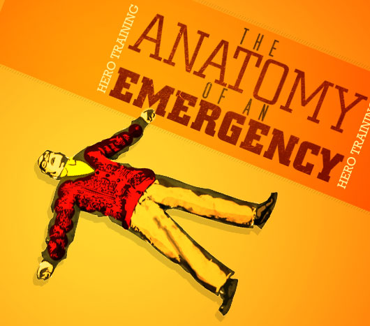 The Anatomy of an Emergency