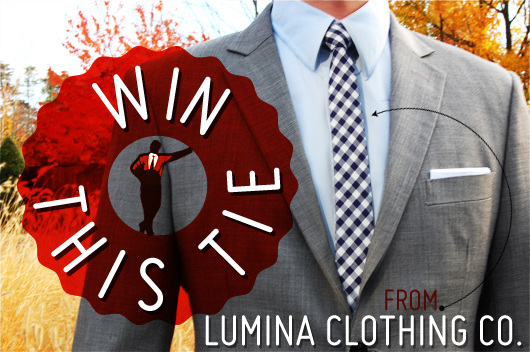 Win This Beautiful Gingham Skinny Tie from Lumina Clothing Co.