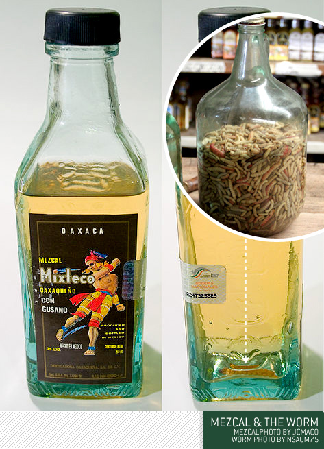 mezcal and the worm bottle