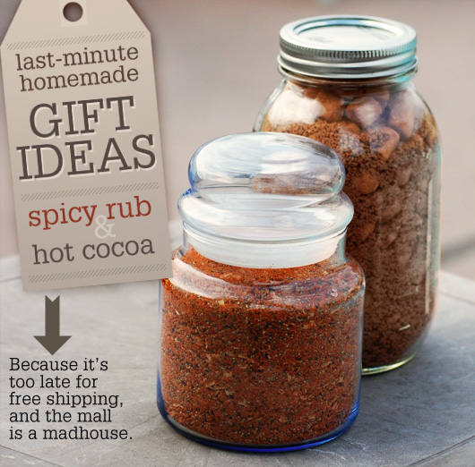 Last-Minute Homemade Gift Ideas: Spicy Rub & Hot Cocoa