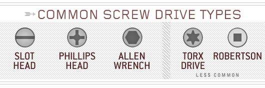 Common screw drive types infographic