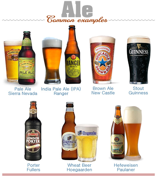 Illustration of common examples of ale beer