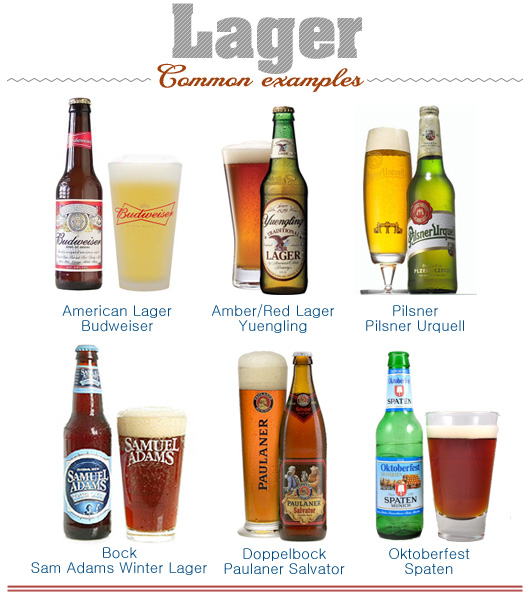 Illustration of common examples of lager beer