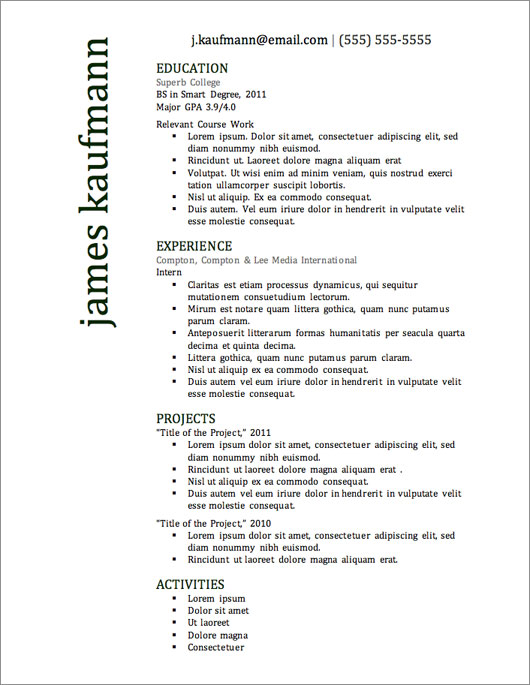 Resume template example