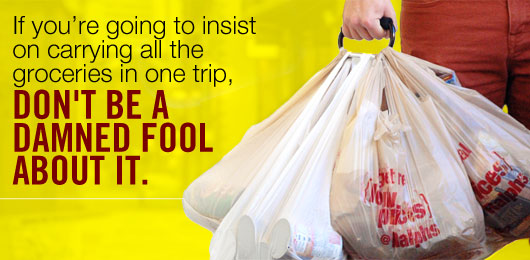 If You’re Going to Insist on Carrying All the Groceries in One Trip, Don’t Be a Damned Fool About It