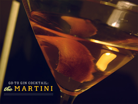 gin martini cocktail orange