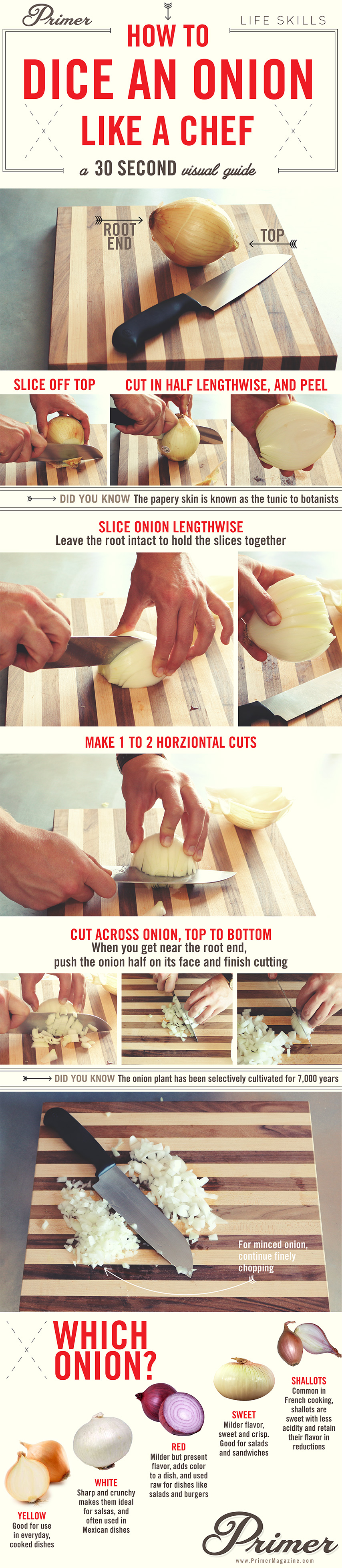 How to dice an onion like a chef