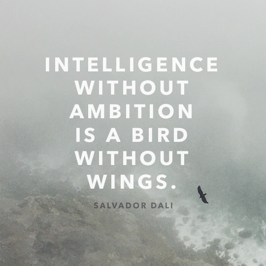 Article quote inset - Intelligence without ambition is a bird without wings