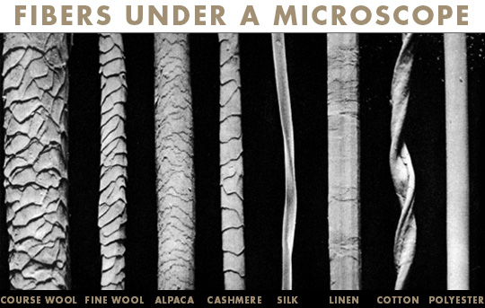 wool fibers under a microscope