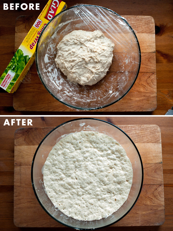 homemade bread dough rise