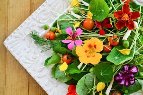 Salad made of edible flowers