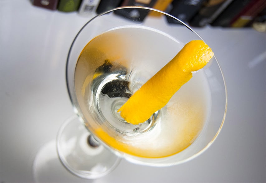 gin martini drinks with gin