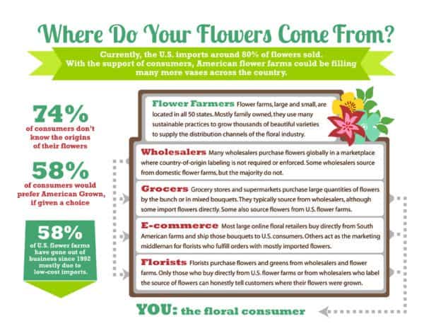 Infographic showing where flowers come from on Valentine's day history of roses