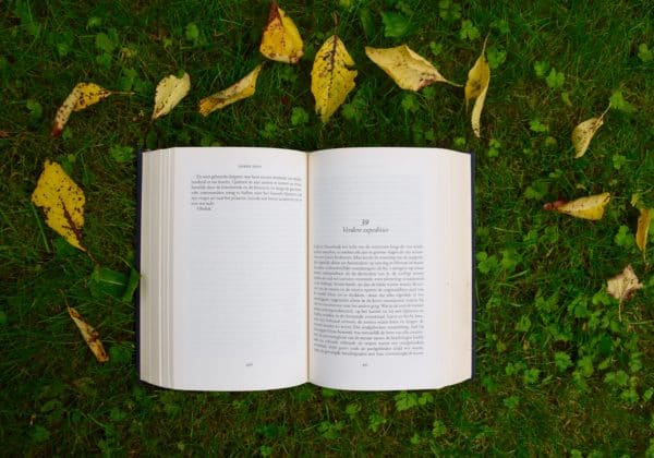 artful image of an open book on grass
