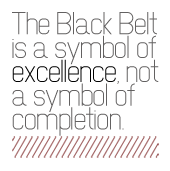 Text - The black belt is a symbol of excellence