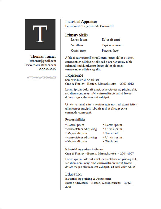 modern resume for word