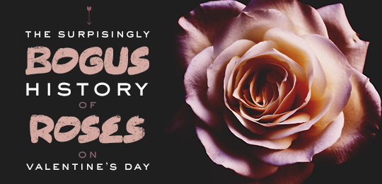 The Surprisingly Bogus History of Roses on Valentine’s Day