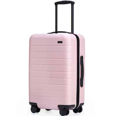 luggage gift for woman