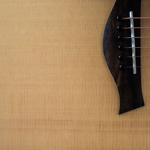 taylor acoustic guitar details
