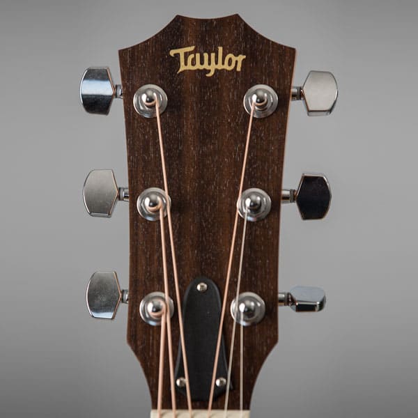 taylor acoustic guitar head