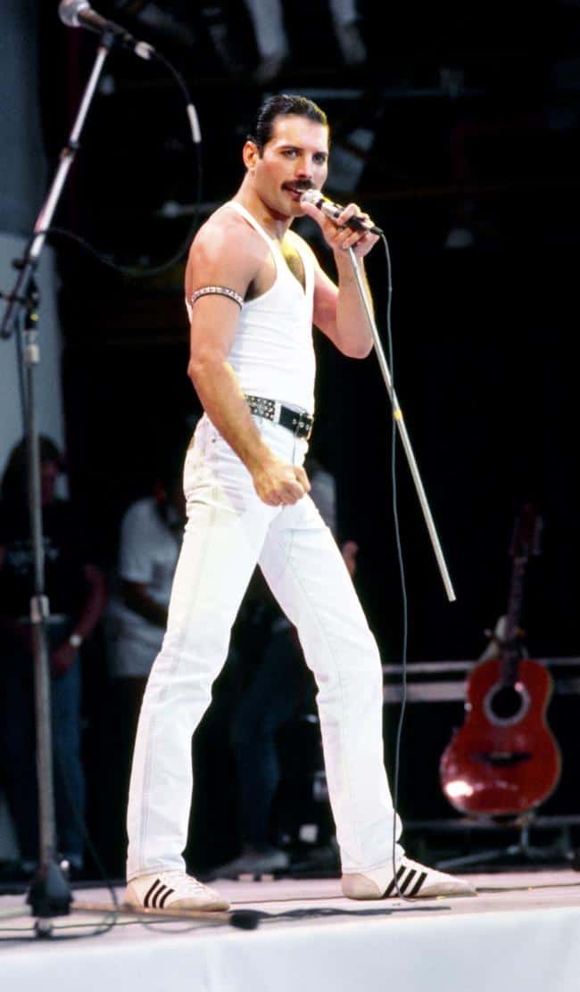 Freddie Mercury holding a microphone