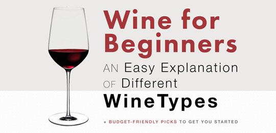 Wine Beginners: Different Types of Wine Explained