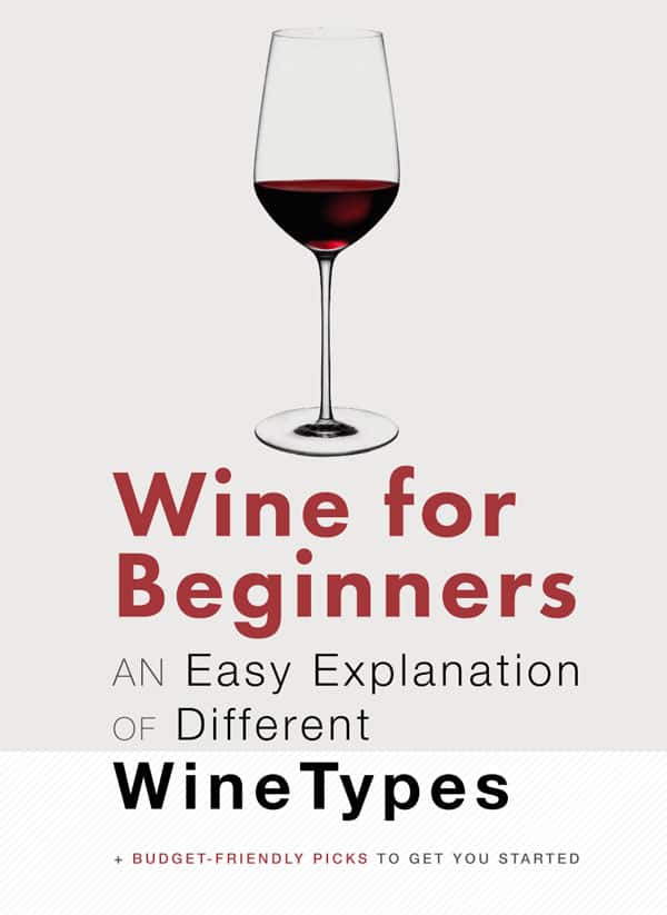 Gøre klart Frastødende Verdensvindue Wine for Beginners: The Different Types of Wine Explained