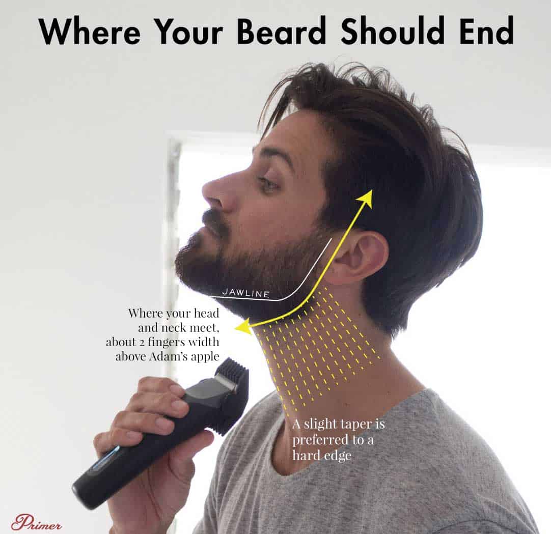 where should your beard end on your neck