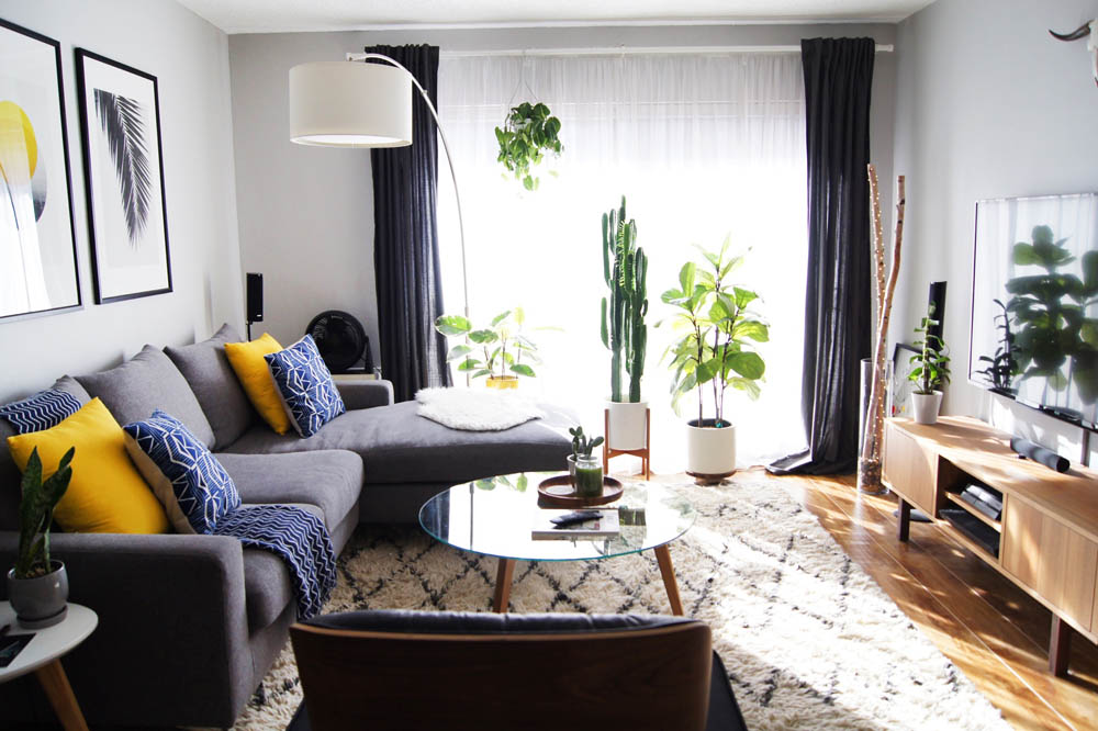 apartment with plants in window   snake plant, rubber plant, fiddle leaf