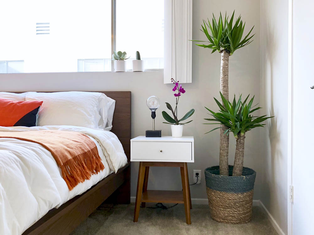 bedroom plant side table