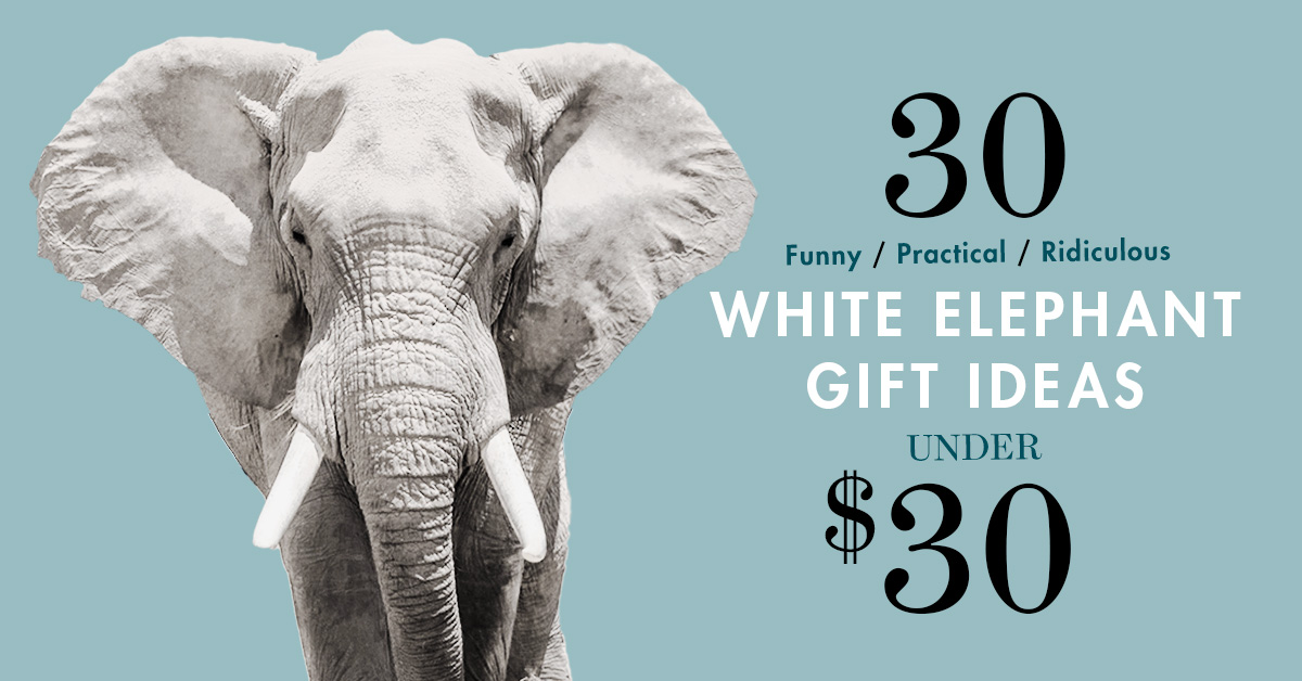 best white elephant gift ideas under $30