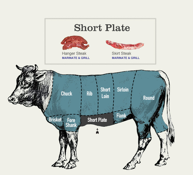 beef cuts diagram of short plate cow section: hanger steak (marinate & grill), skirt steak (marinate & grill)