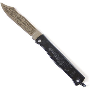 image of a folder knife with black handle