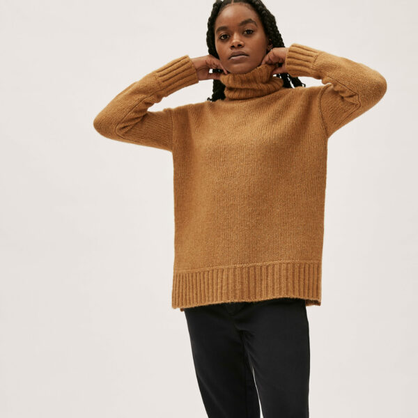 image of a brown turtle neck long sleeve sweater