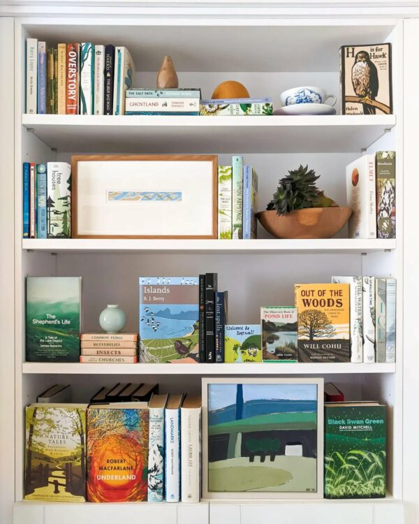 image of a shelf with books and decor