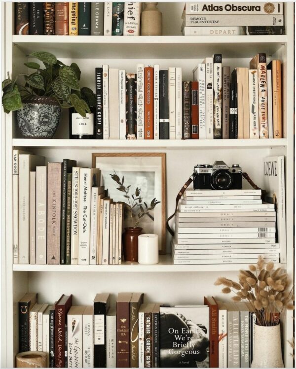 image of a shelf wtih books and indoor plants