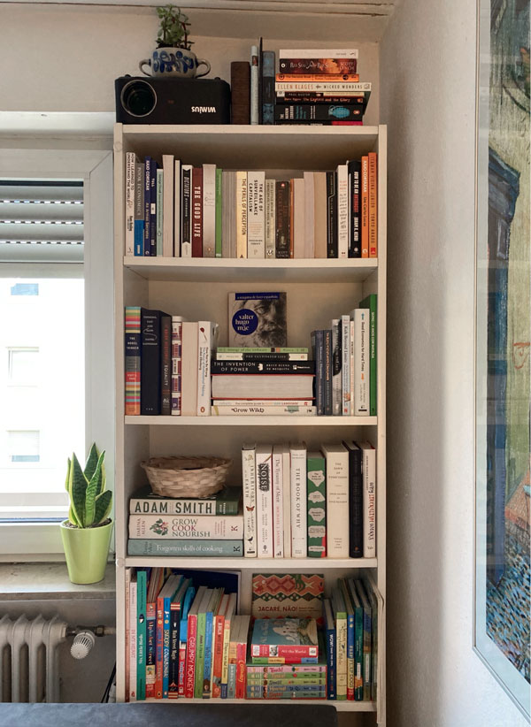 image of an organized bookshelf