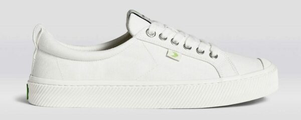 image of a white low top sneaker