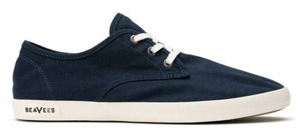 image of a blue and white low top sneaker
