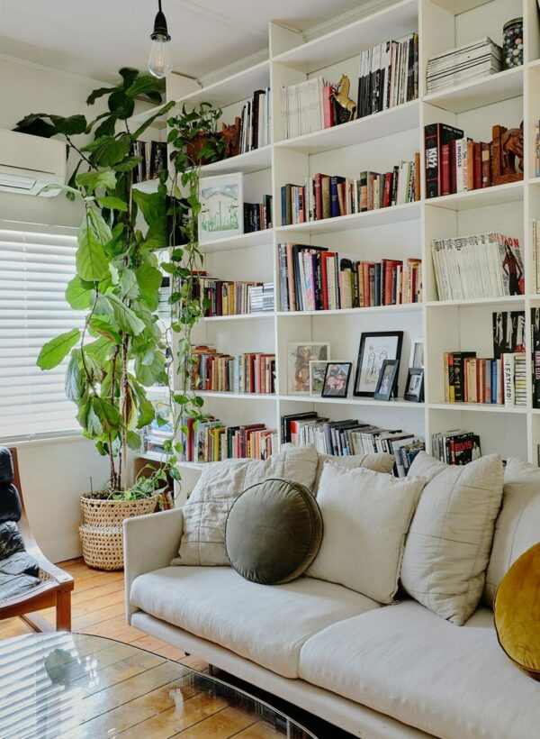 image of a wall bookshelf plant and white couch