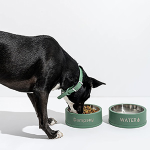 a dog eating from a set of personalized pet bowls